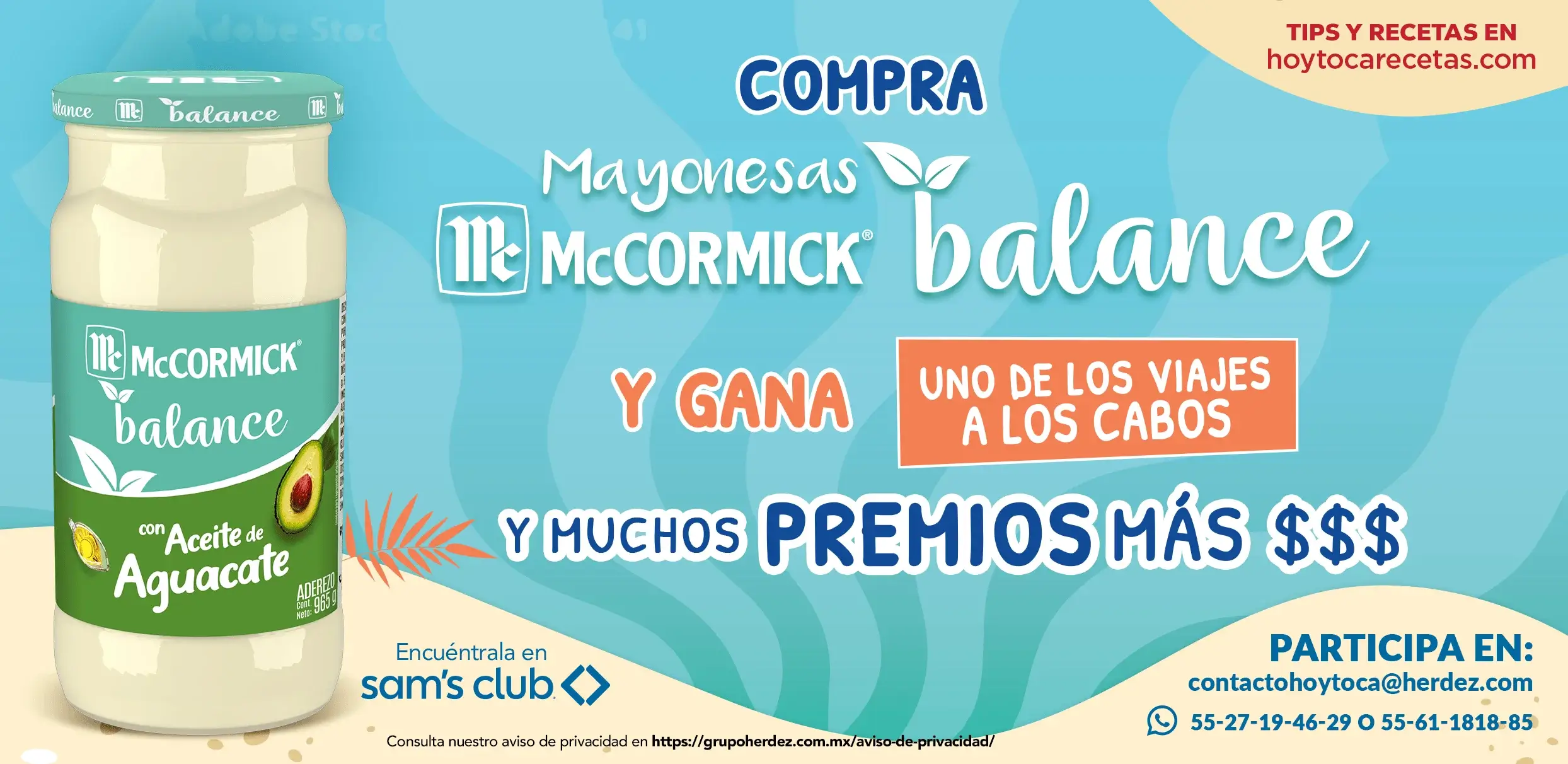 Promociones, ofertas y descuentos | McCORMICK México